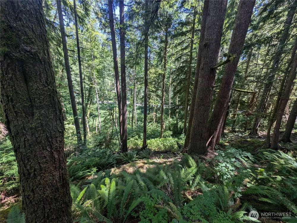 999 Kallman Road Forks, WA 98331