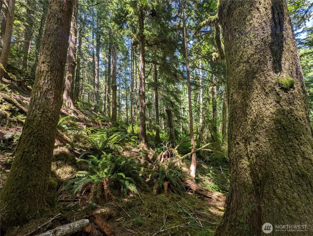 999 Kallman Road Forks, WA 98331