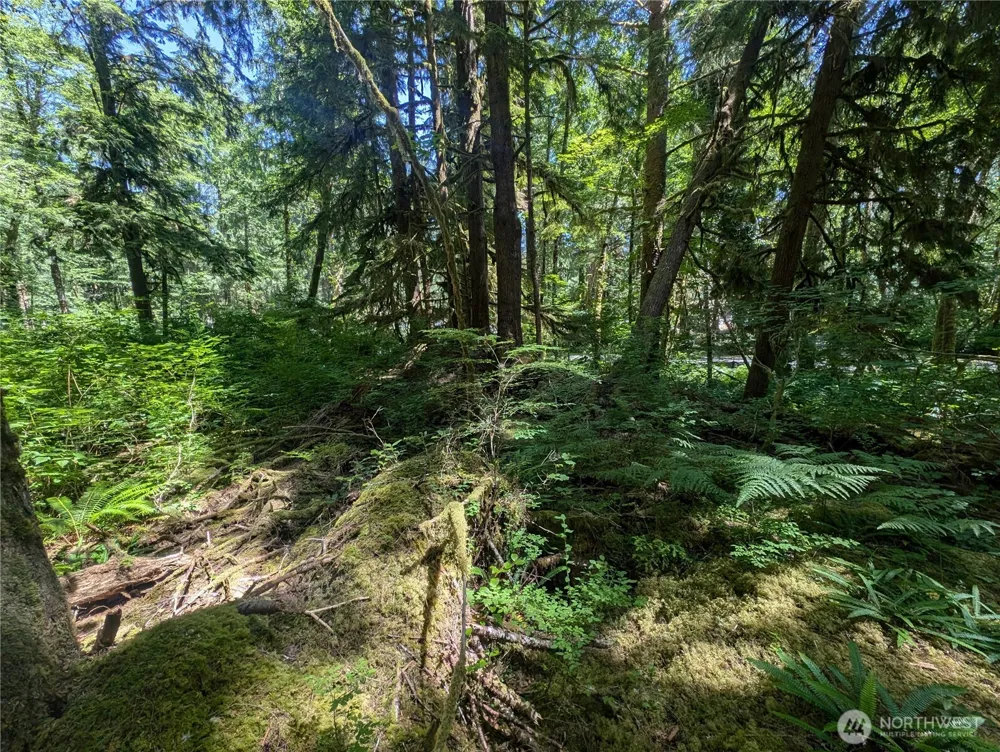 999 Kallman Road Forks, WA 98331
