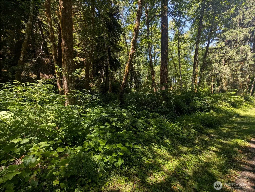 999 Kallman Road Forks, WA 98331