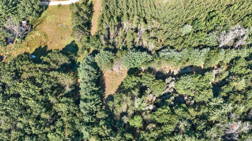 5821 S Queens Highway Cherry Valley Township, MI 49623