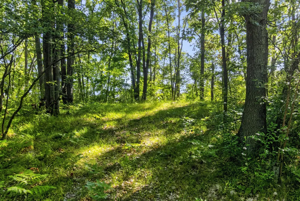 5821 S Queens Highway Cherry Valley Township, MI 49623