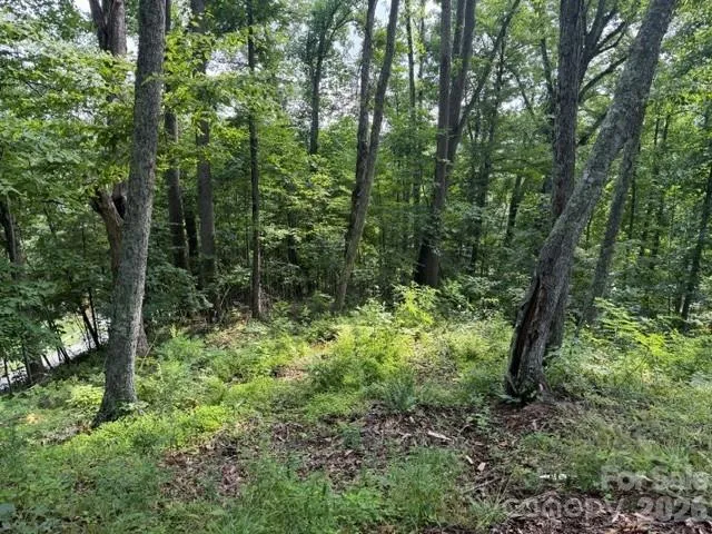 Lot 91 Apple Brandy Way Burnsville, NC 28714