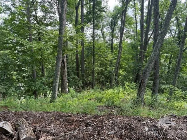 Lot 91 Apple Brandy Way Burnsville, NC 28714