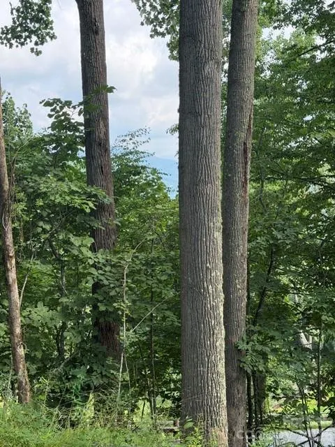 Lot 91 Apple Brandy Way Burnsville, NC 28714