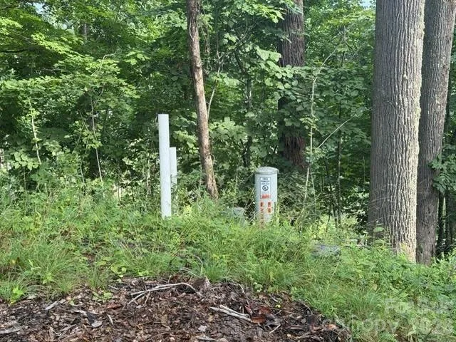 Lot 91 Apple Brandy Way Burnsville, NC 28714
