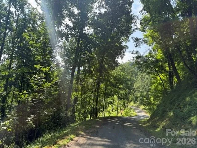 Lot 91 Apple Brandy Way Burnsville, NC 28714