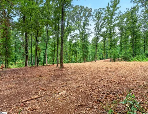 223 W Chapman Road #Lot 5