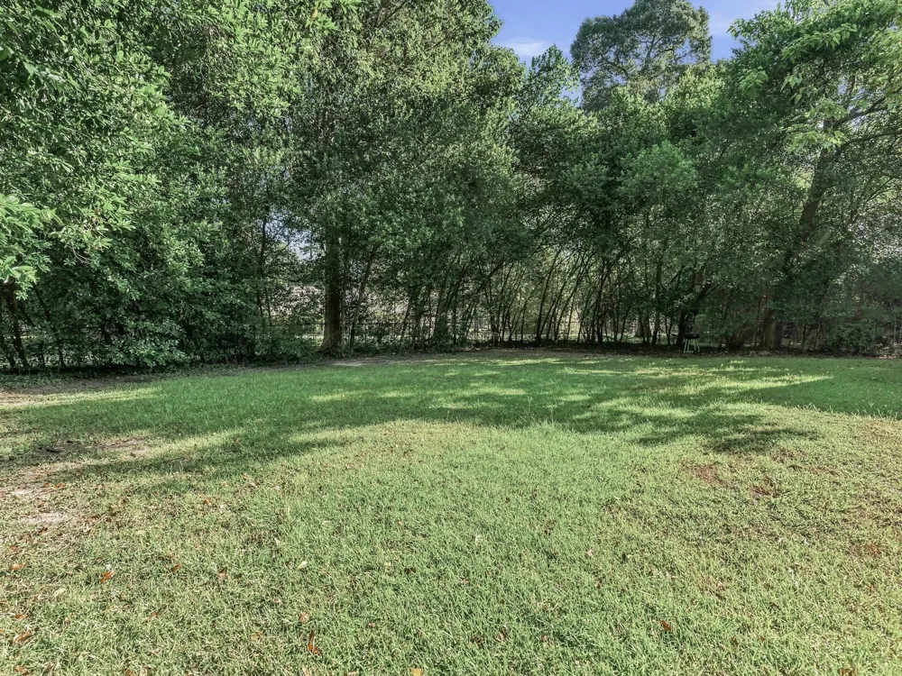 100 E Black Gum Lane Village Mills, TX 77663