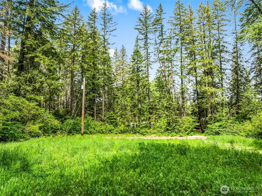 13861 13863 Brae Burn Road Leavenworth, WA 98826