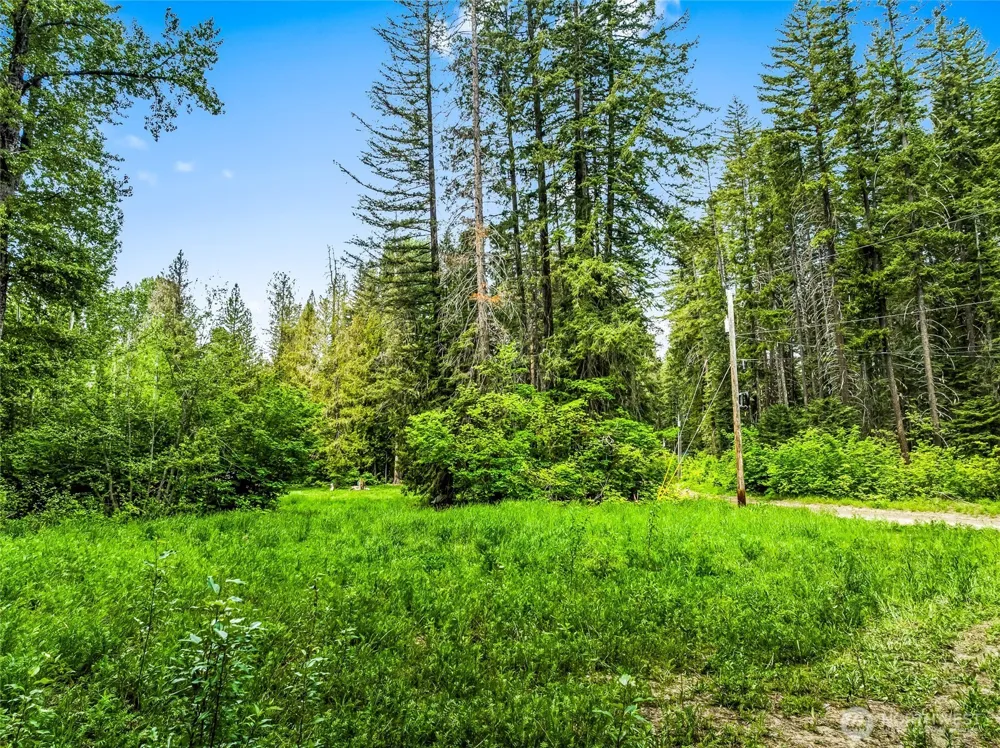 13861 13863 Brae Burn Road Leavenworth, WA 98826