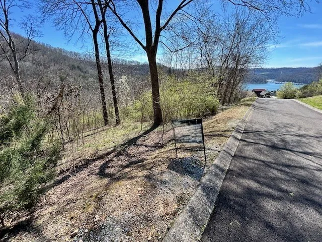 209 Sandgate Dr Smithville, TN 37166