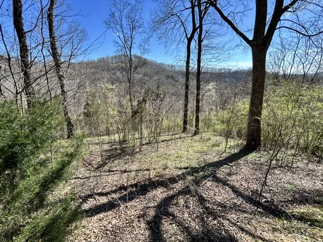 209 Sandgate Dr Smithville, TN 37166