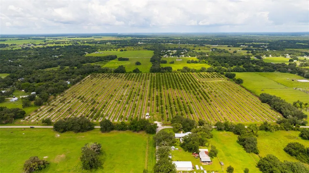 SW CARLTON AVENUE Arcadia, FL 34266