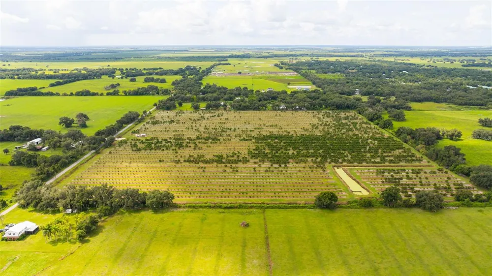 SW CARLTON AVENUE Arcadia, FL 34266
