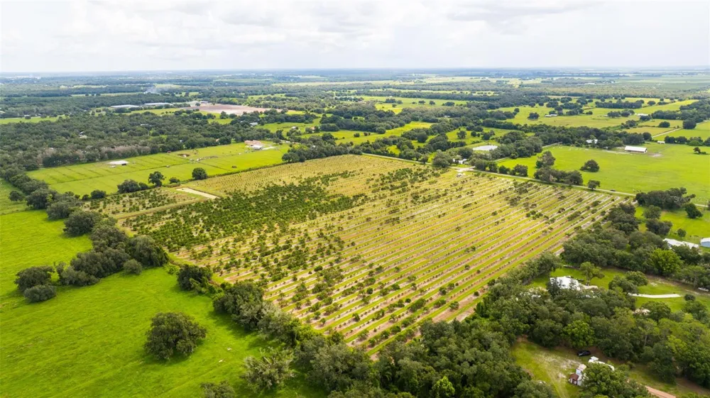 SW CARLTON AVENUE Arcadia, FL 34266