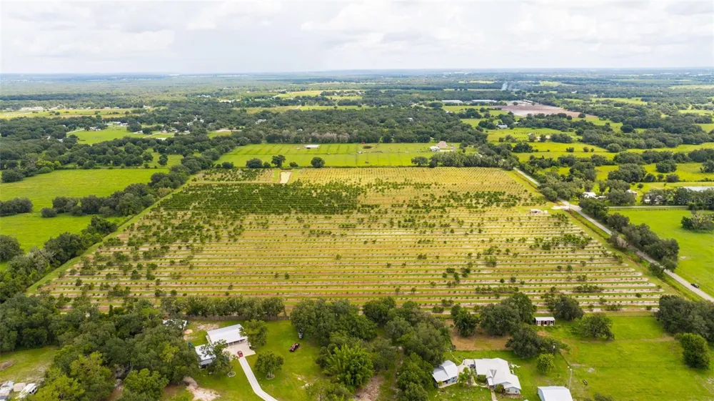 SW CARLTON AVENUE Arcadia, FL 34266