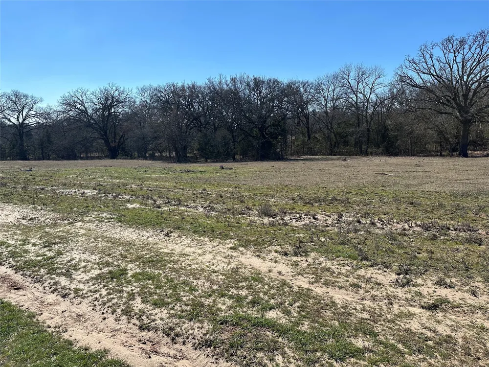 Co Rd 3103 Greenville, TX 75402