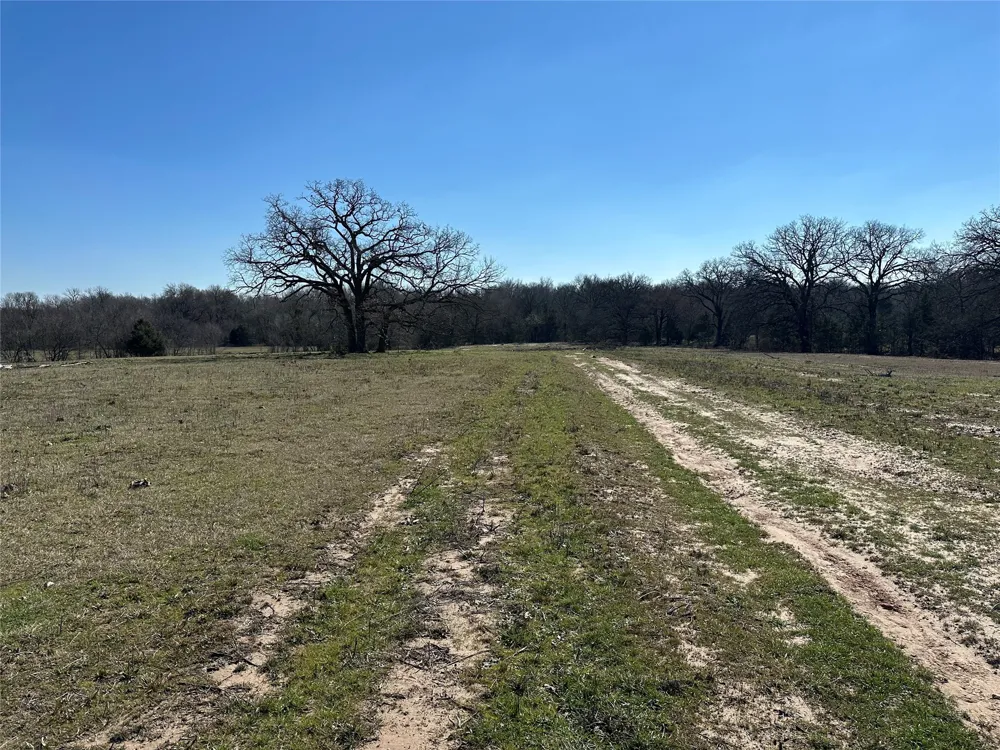 Co Rd 3103 Greenville, TX 75402