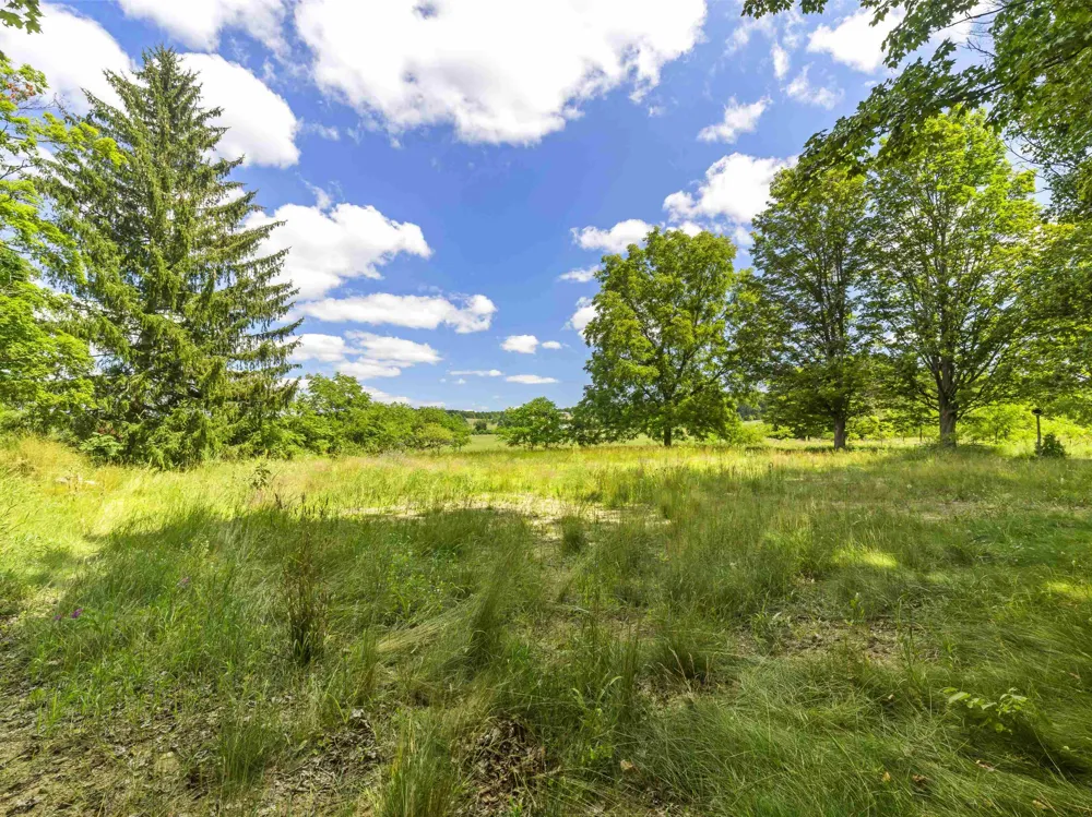 16743 Marilla Road Cleon Township, MI 49625