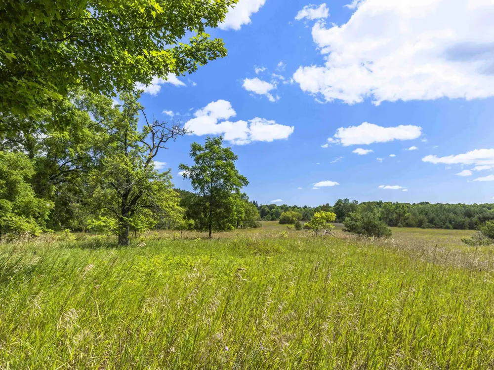 16743 Marilla Road Cleon Township, MI 49625
