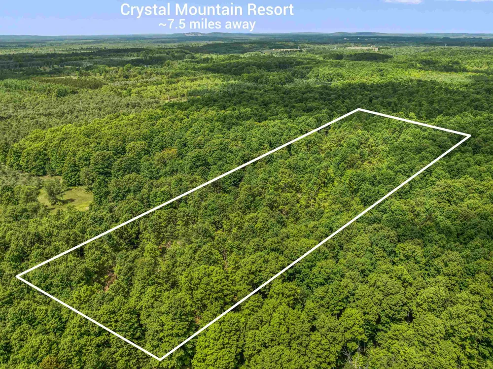 Valencourt Road Cleon Township, MI 49625