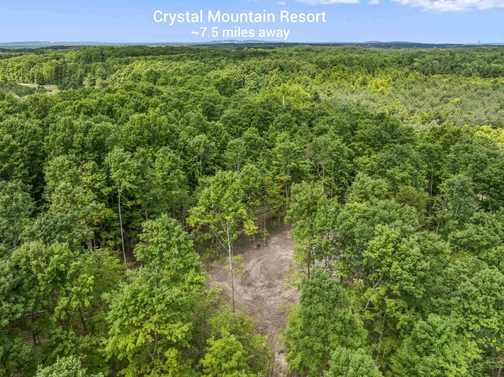Valencourt Road Cleon Township, MI 49625