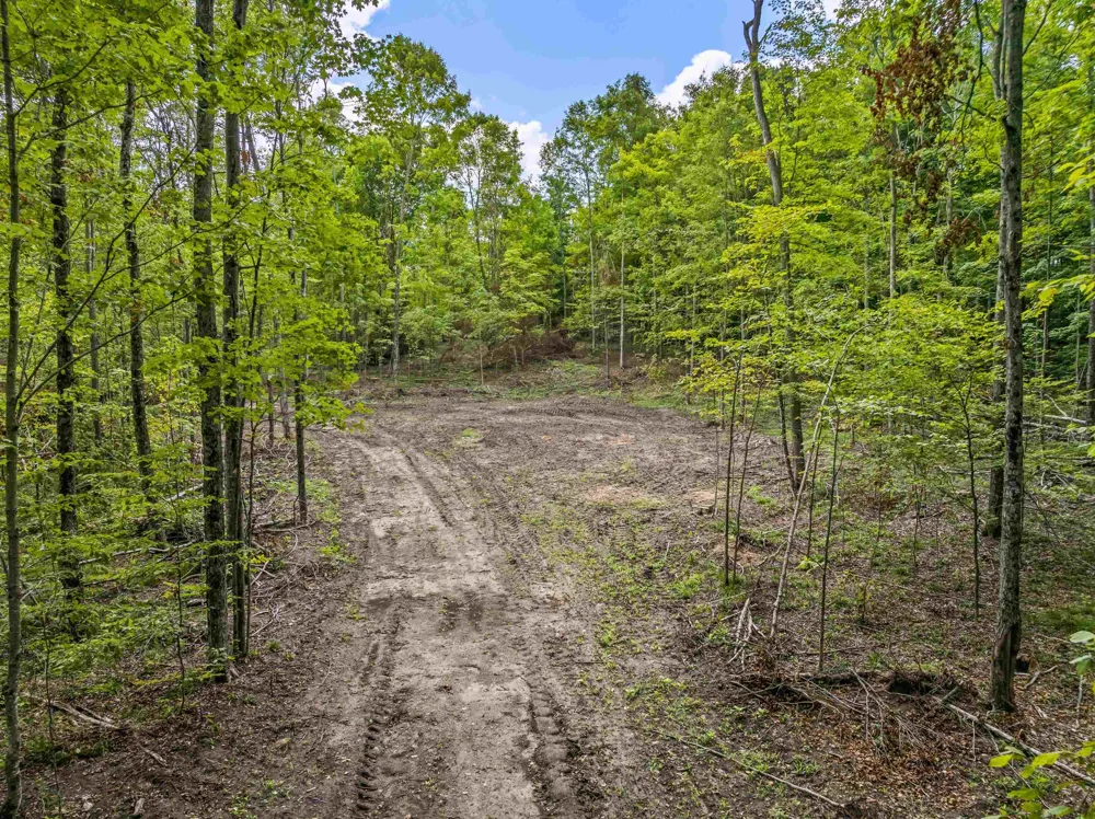 Valencourt Road Cleon Township, MI 49625