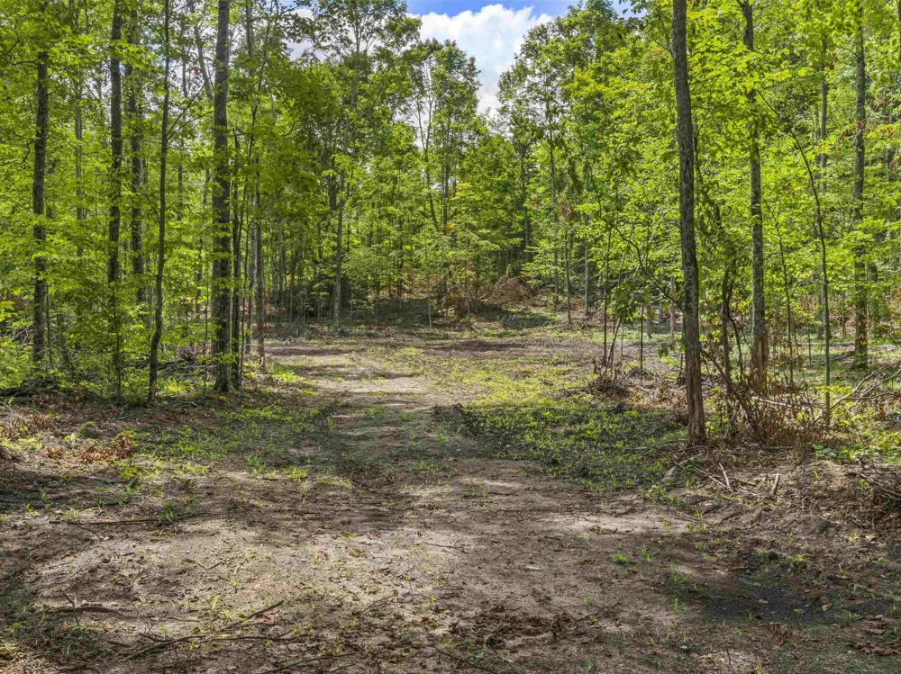 Valencourt Road Cleon Township, MI 49625
