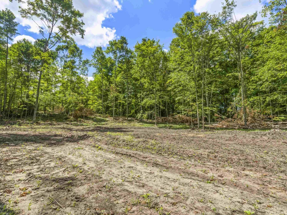 Valencourt Road Cleon Township, MI 49625
