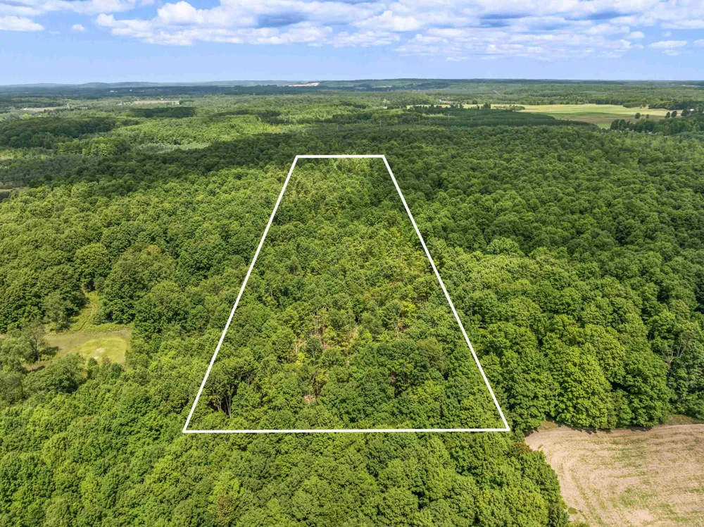 Valencourt Road Cleon Township, MI 49625