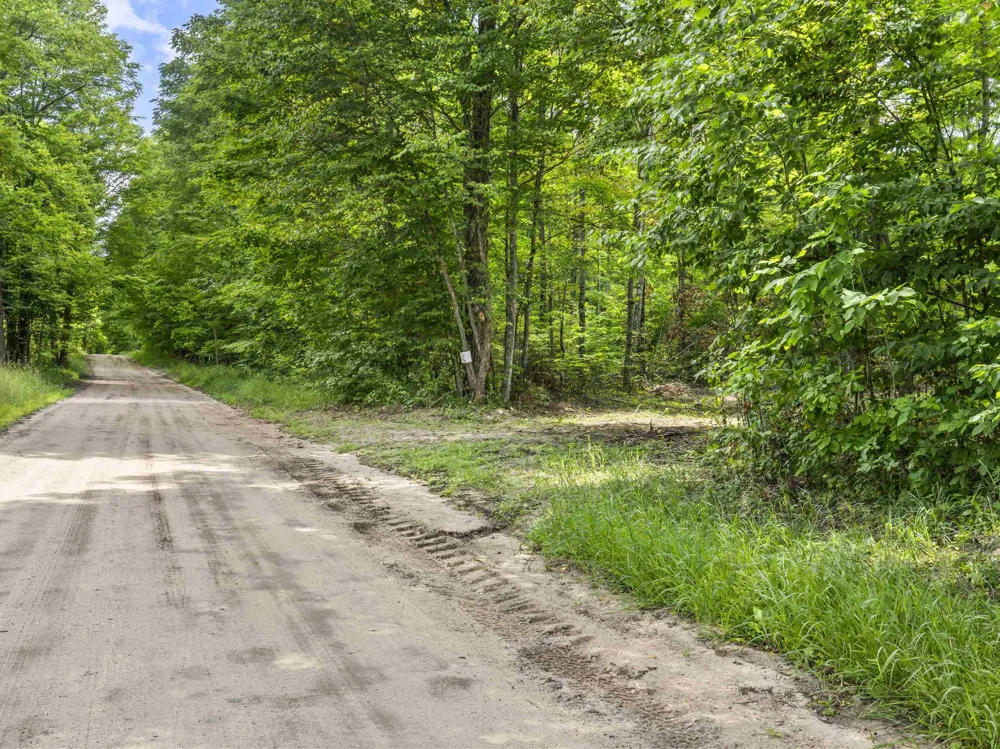 Valencourt Road Cleon Township, MI 49625