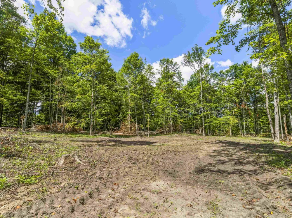 Valencourt Road Cleon Township, MI 49625