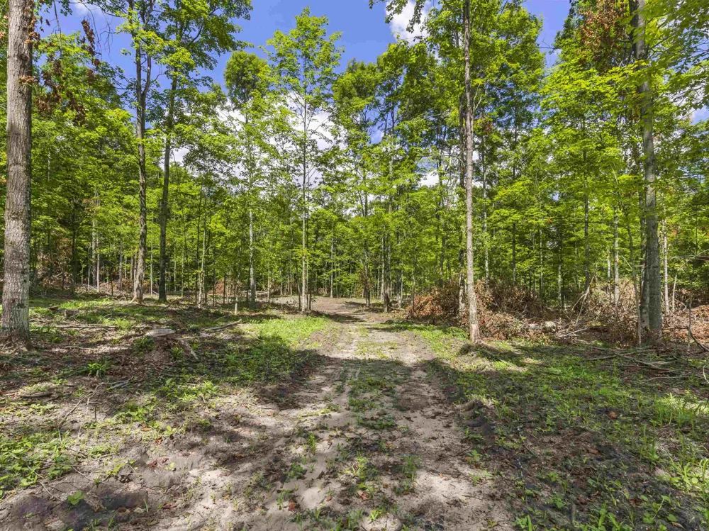 Valencourt Road Cleon Township, MI 49625