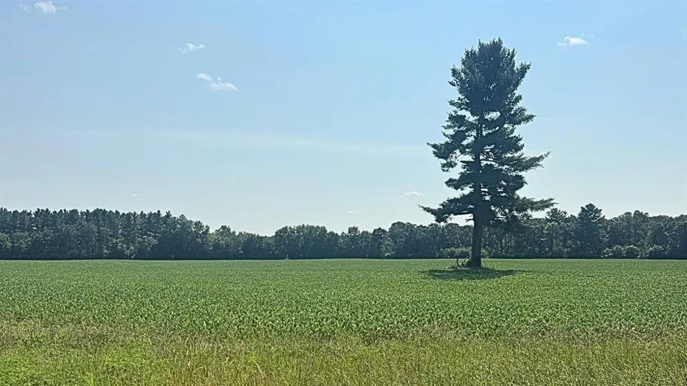 Hwy 79 Highway Boyceville, WI 54725