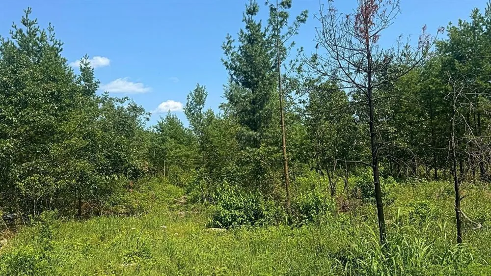 Hwy 79 Highway Boyceville, WI 54725