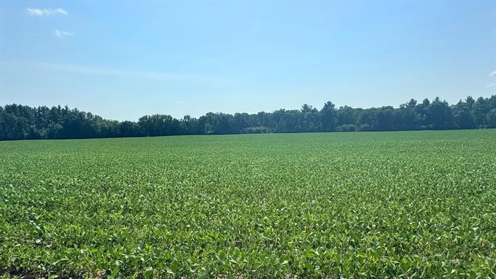Hwy 79 Highway Boyceville, WI 54725