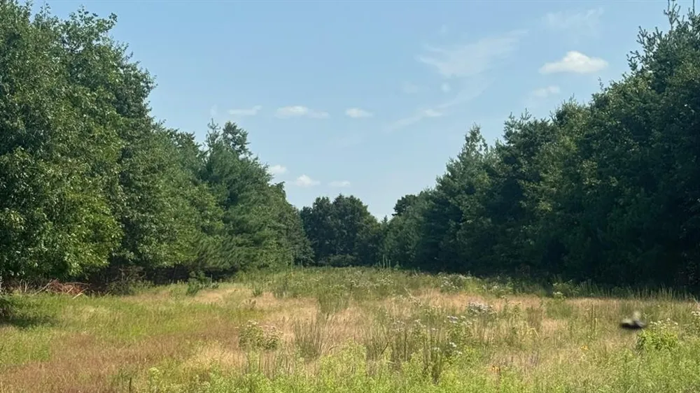 Hwy 79 Highway Boyceville, WI 54725