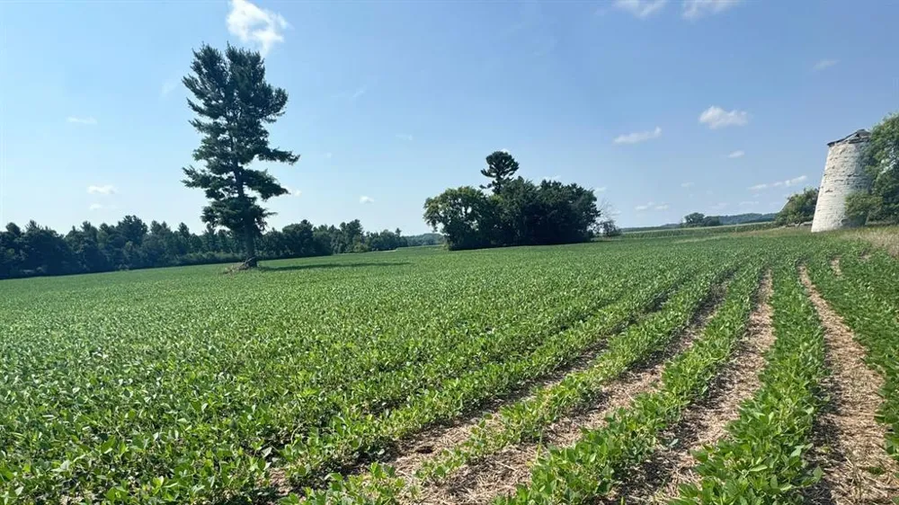 Hwy 79 Highway Boyceville, WI 54725