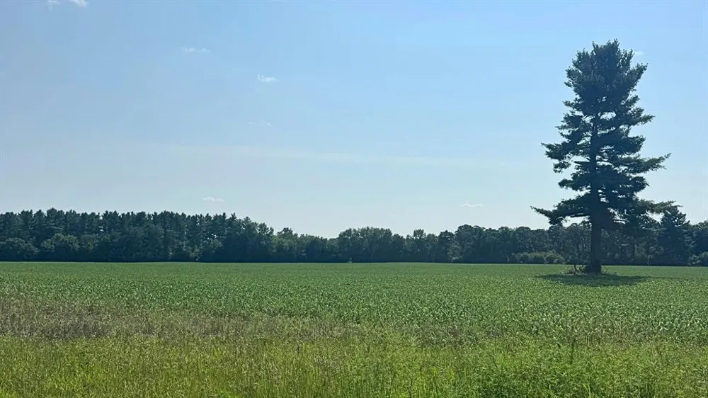 Hwy 79 Highway Boyceville, WI 54725
