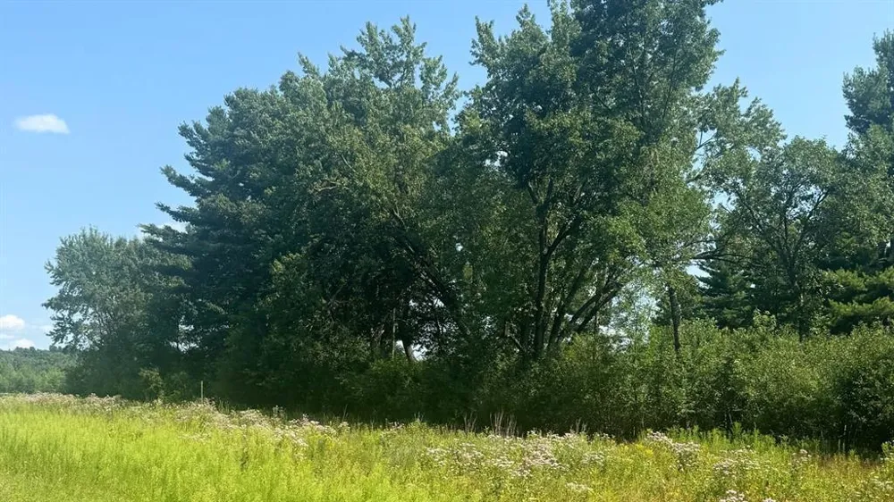 Hwy 79 Highway Boyceville, WI 54725