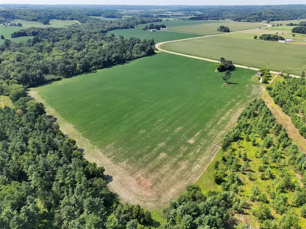 Hwy 79 Highway Boyceville, WI 54725