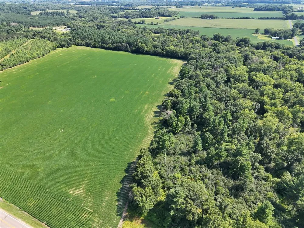 Hwy 79 Highway Boyceville, WI 54725