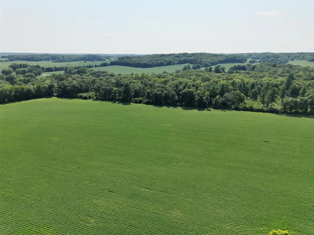 Hwy 79 Highway Boyceville, WI 54725