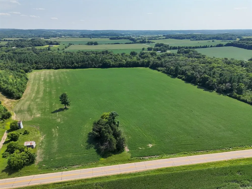 Hwy 79 Highway Boyceville, WI 54725