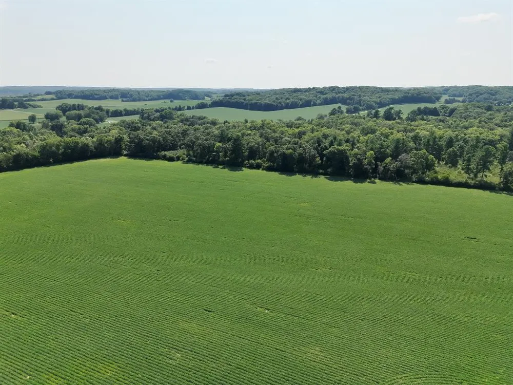 Hwy 79 Highway Boyceville, WI 54725