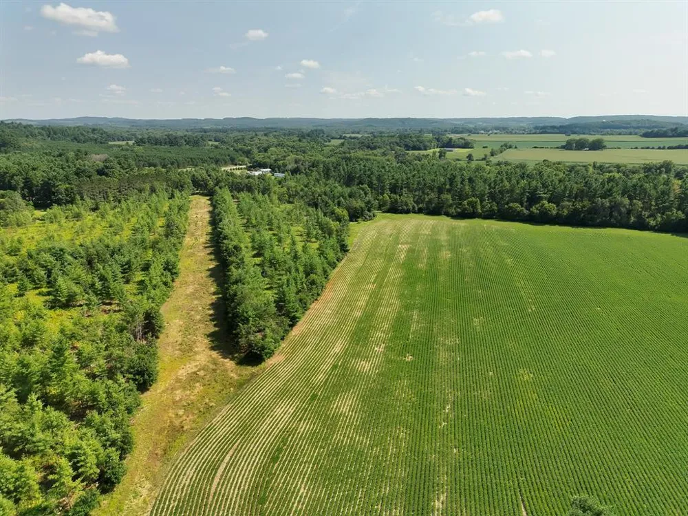 Hwy 79 Highway Boyceville, WI 54725