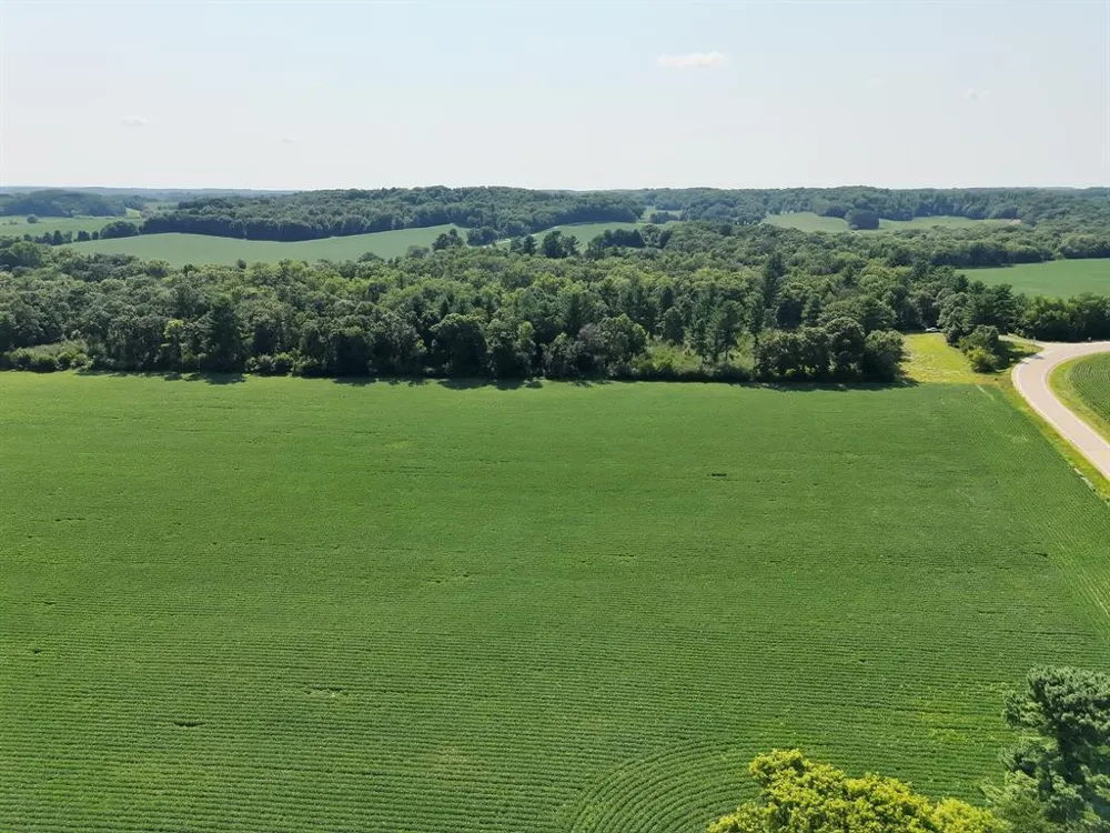 Hwy 79 Highway Boyceville, WI 54725