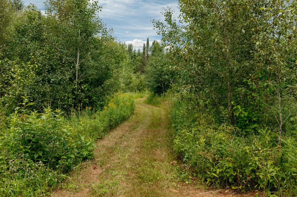 57865 Great River Road Palisade, MN 56469