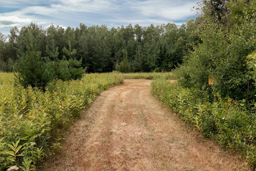 57865 Great River Road Palisade, MN 56469